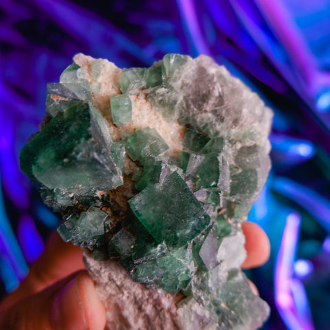 Green Fluorite Cluster