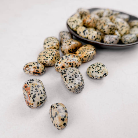 Dalmatian Jasper