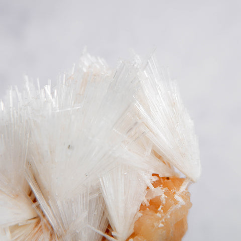 Scolecite