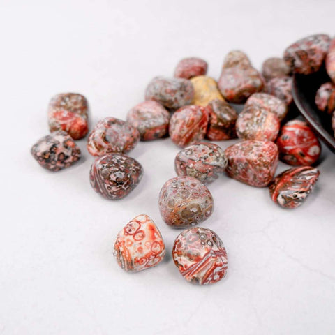 Leopard Skin Jasper Tumble - Crystal & Stone