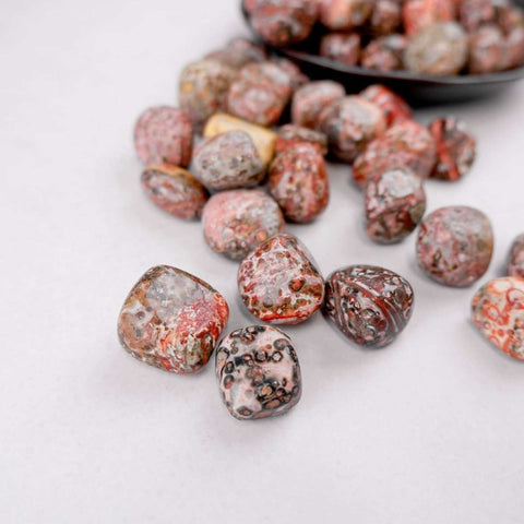 Leopard Skin Jasper Tumble - Crystal & Stone