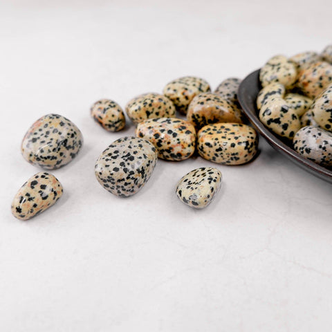 Dalmatian Jasper Tumble - Crystal & Stone